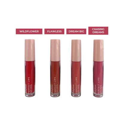 Batom Líquido Perfect Lips Ruby Rose HB-L6200-G2 Kit